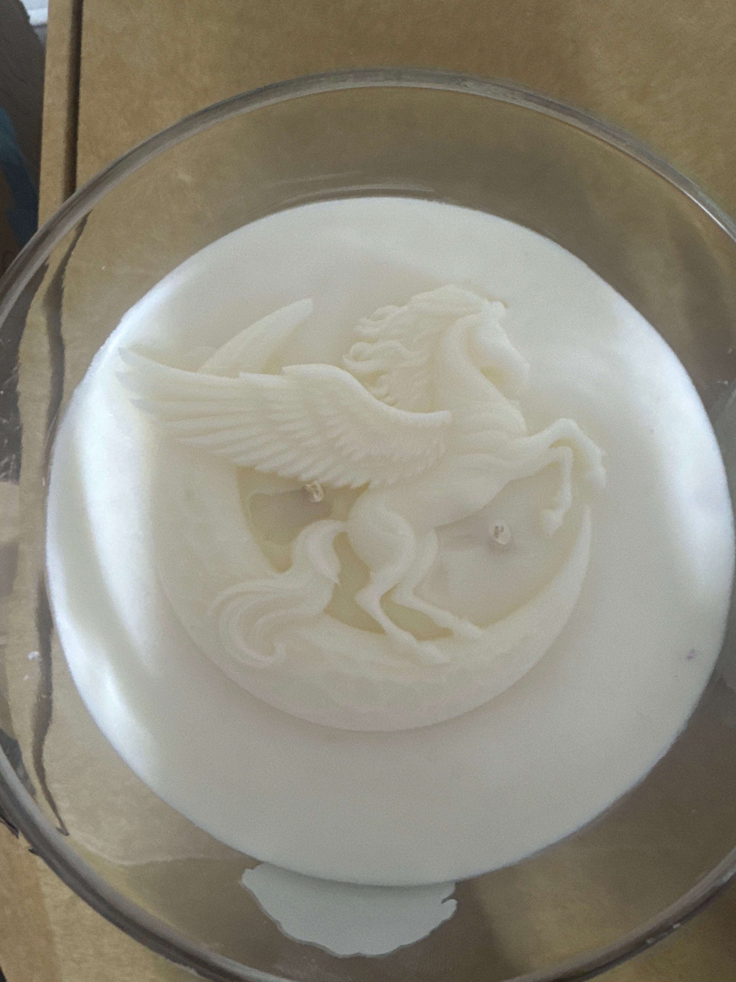 Pegasus