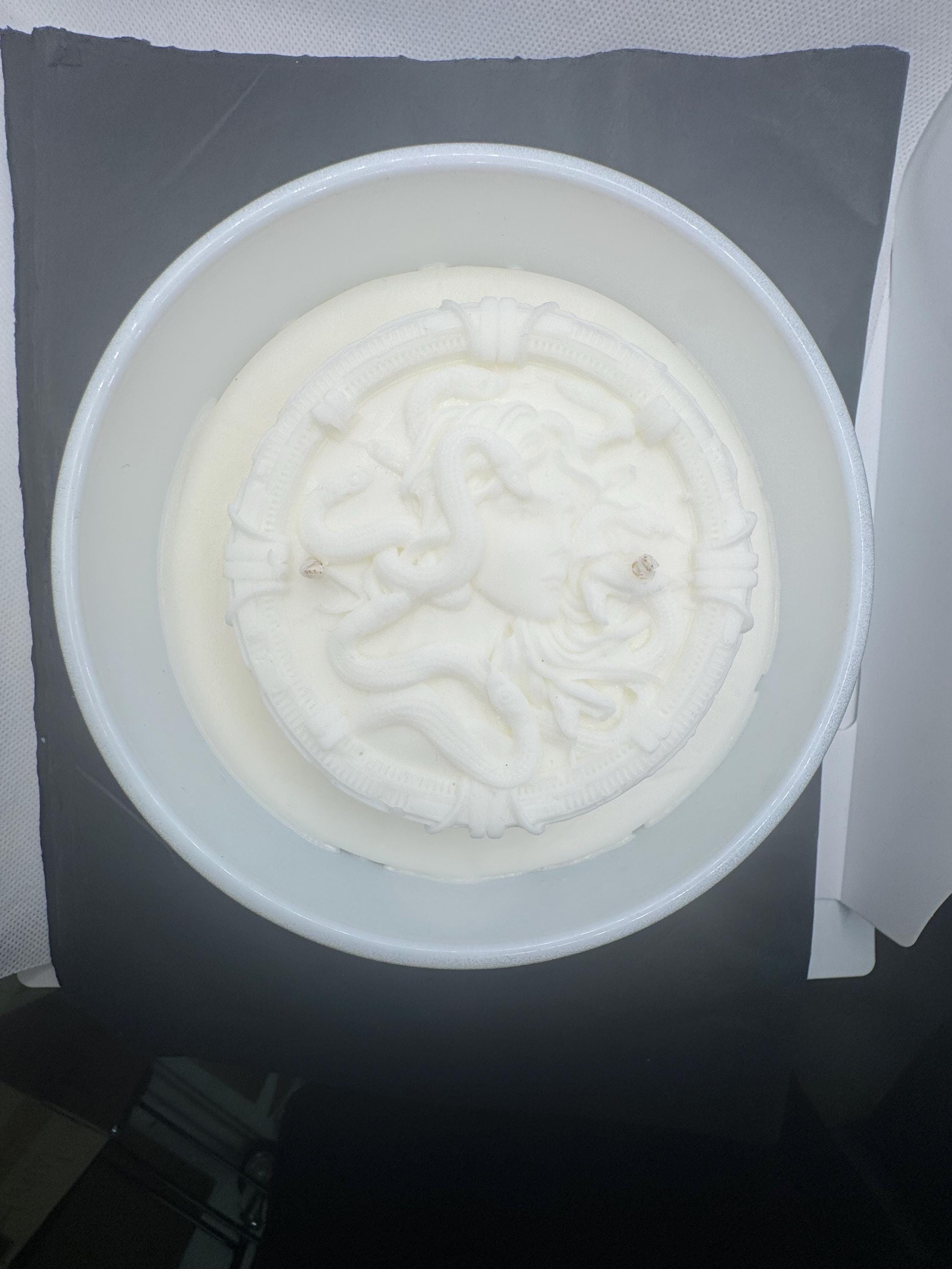 Medusa Evolved Driftwood & Sea Salt 600g Soy Candle