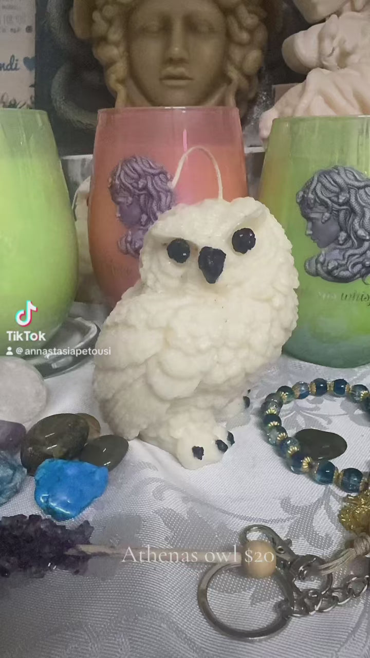 Athenas wise owl